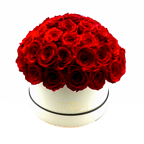 PRESERVED ROSES IN A WHITE HAT BOX WITH DOME SHAPED ARRANGEMENT