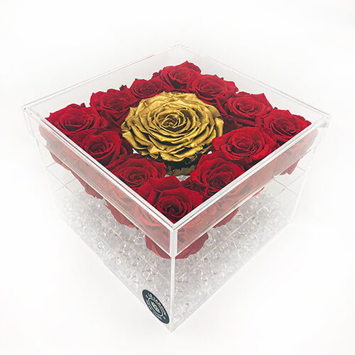 TRANSPARENT BOX OF 16 PRESERVED ROSES