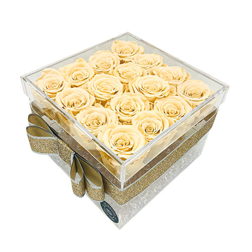 TRANSPARENT BOX OF 16 PRESERVED ROSES