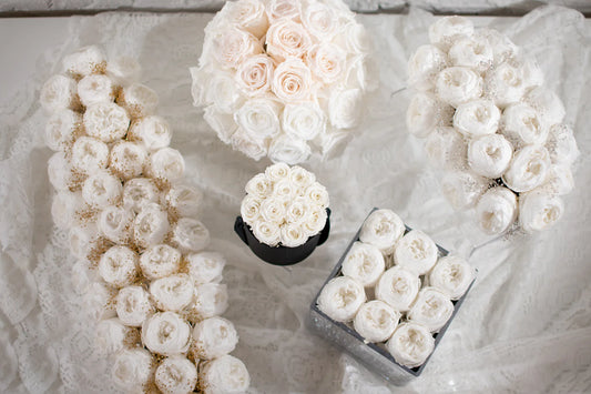 White Preserved Peonies