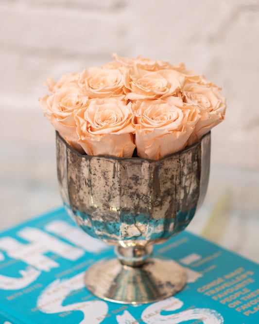 Twelve light orange roses in a vase on a blue book.