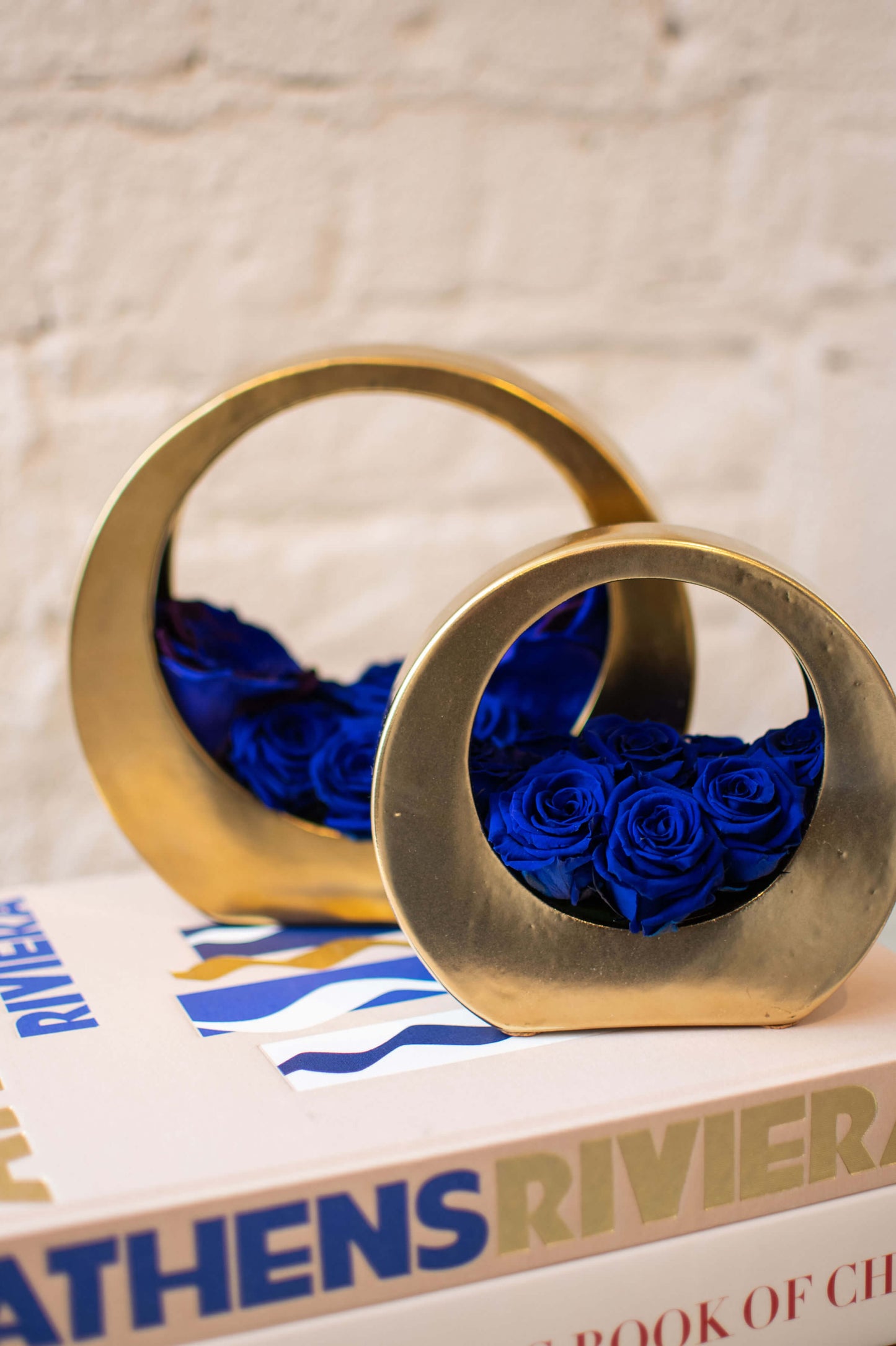 DOUBLE BLISS GOLDEN CIRCULAR VASES WITH PRESERVED ROSES