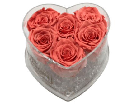 TRANSPARENT HEART BOX OF ORANGE PRESERVED ROSES